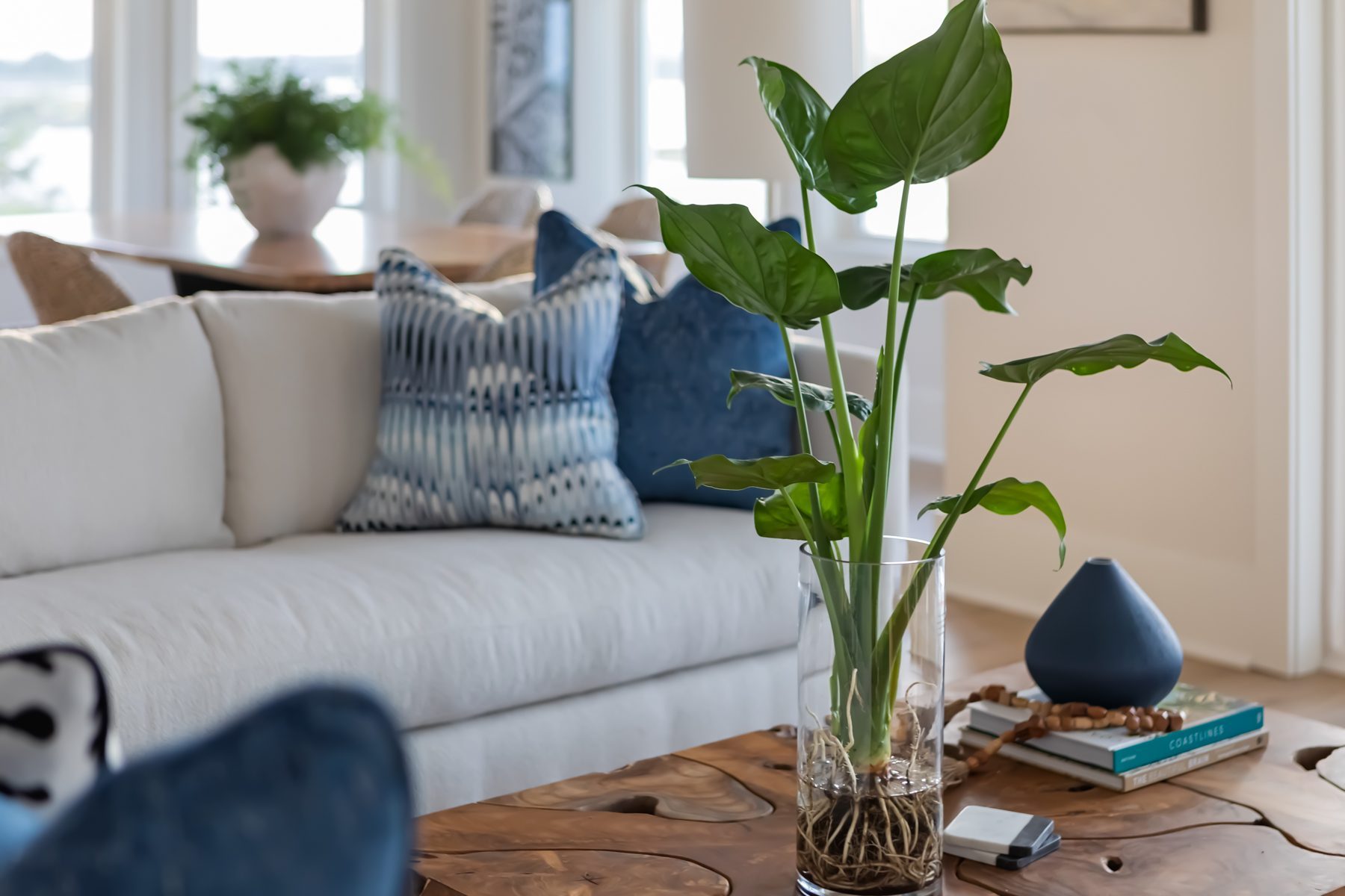 Beach Serenity, interior design by Lauren Burns Interiors